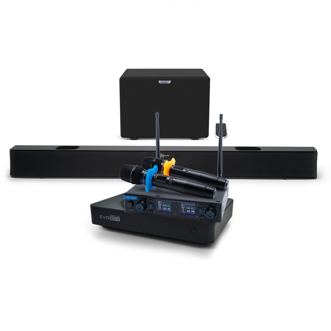 Hi-End караоке-система EVOBOX Premium + EvoSoundBar (саундбар с караоке) в Верхнем Тагиле