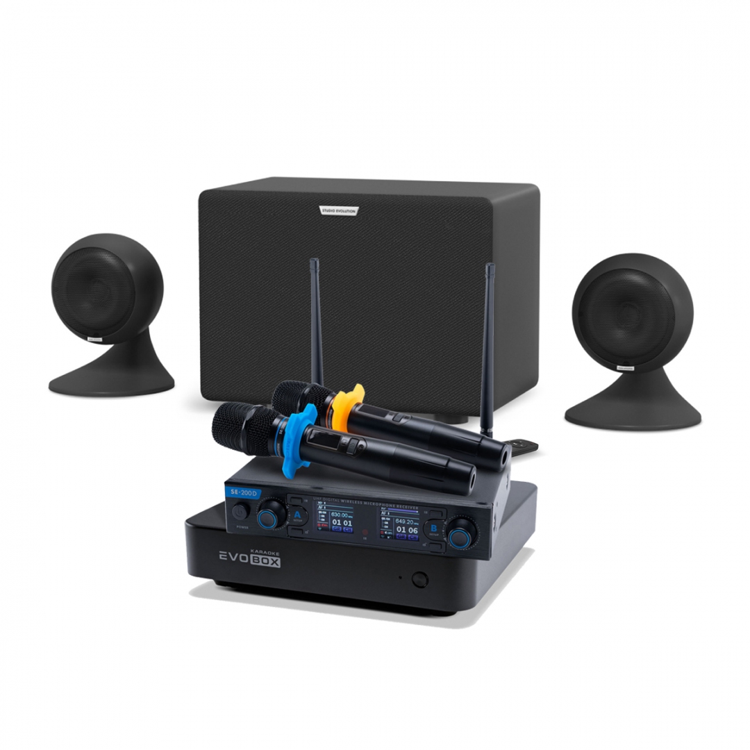 караоке-комплект EVOBOX + EvoSound Sphere 2.1 в Верхнем Тагиле