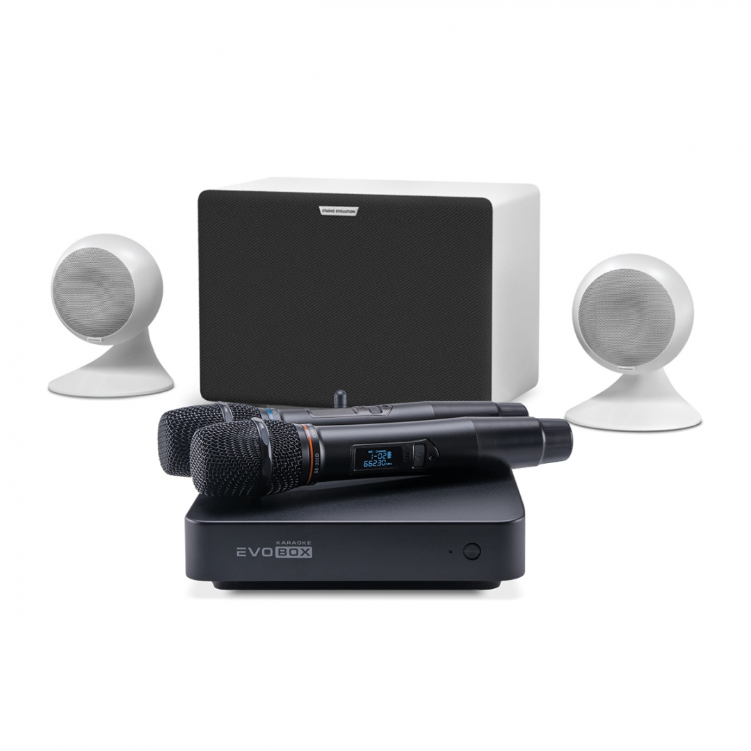 караоке-комплект EVOBOX Classic + EvoSound Sphere 2.1 в Верхнем Тагиле