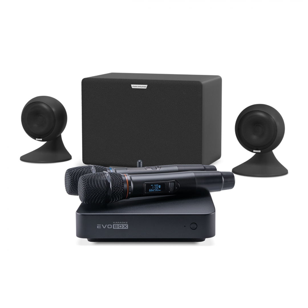 караоке-комплект EVOBOX Plus + EvoSound Sphere 2.1 в Верхнем Тагиле