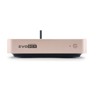 EVOBOX Classic караоке-система для дома в Верхнем Тагиле