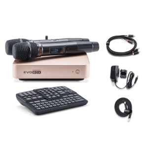 EVOBOX Classic караоке-система для дома в Верхнем Тагиле