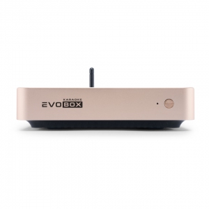 EVOBOX Plus караоке-система для дома в Верхнем Тагиле