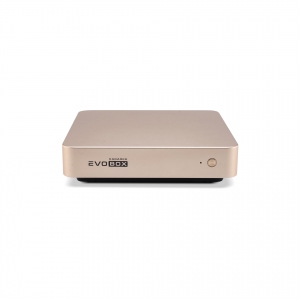 EVOBOX с микрофонами в Верхнем Тагиле